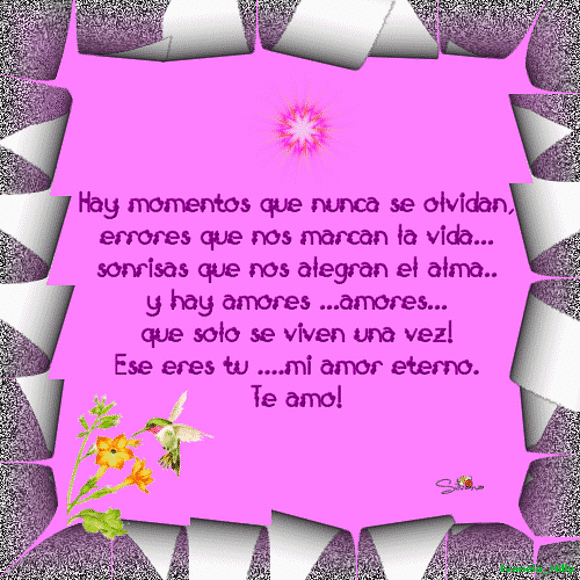 -›¦‹-- Momentos--›¦‹-