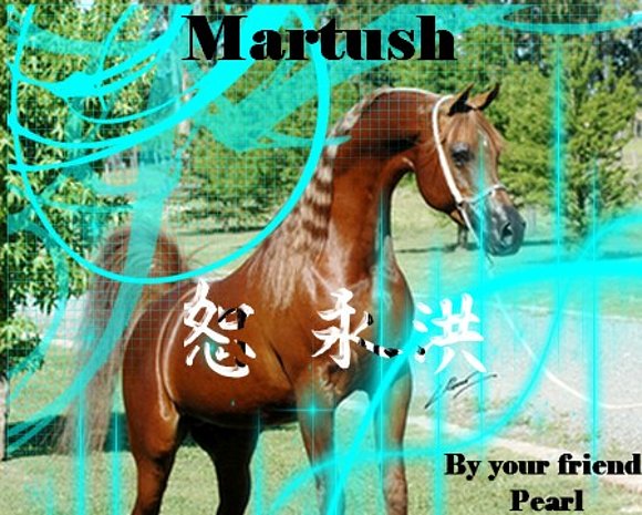 My Creation Evolutionn, xDD