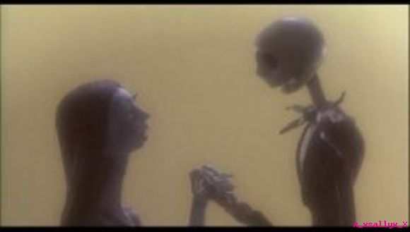 **x_x sally & jack x_x**