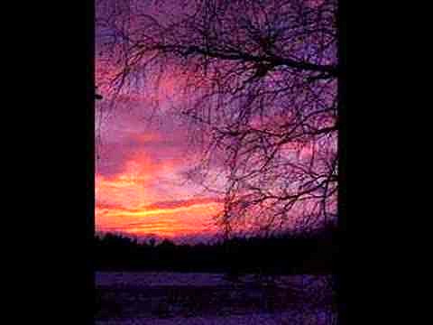Serenata. Schubert.
