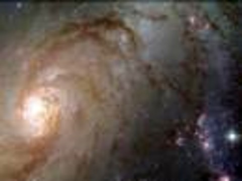 Bach Under The Stars: Air on the G String