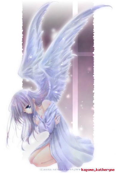tenshi /(angel)/