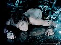 L&acute;arc~en~ciel