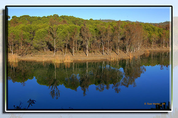 Reflejos