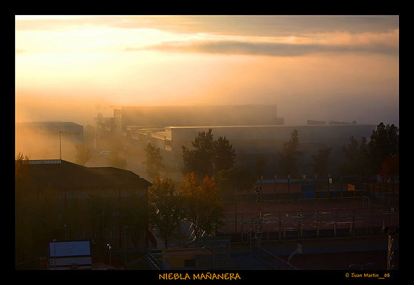 Neblina mañanera