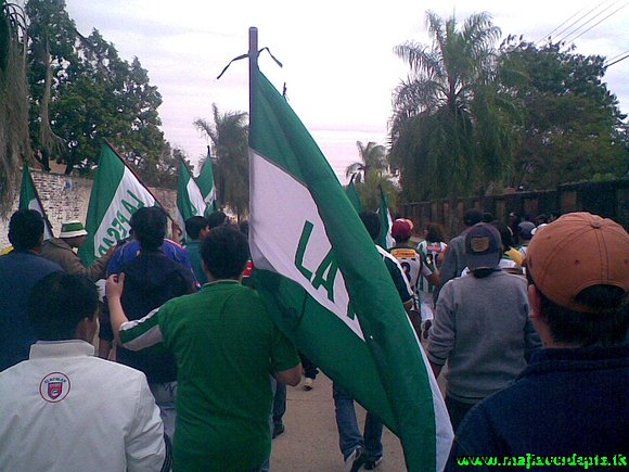 caminando sin pacos