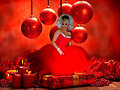 ARAMIS FUSTER NAVIDAD 2011   TL . 01 305 900 0594