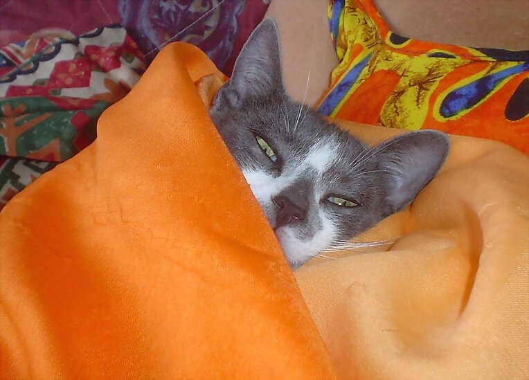 Tengo sueño