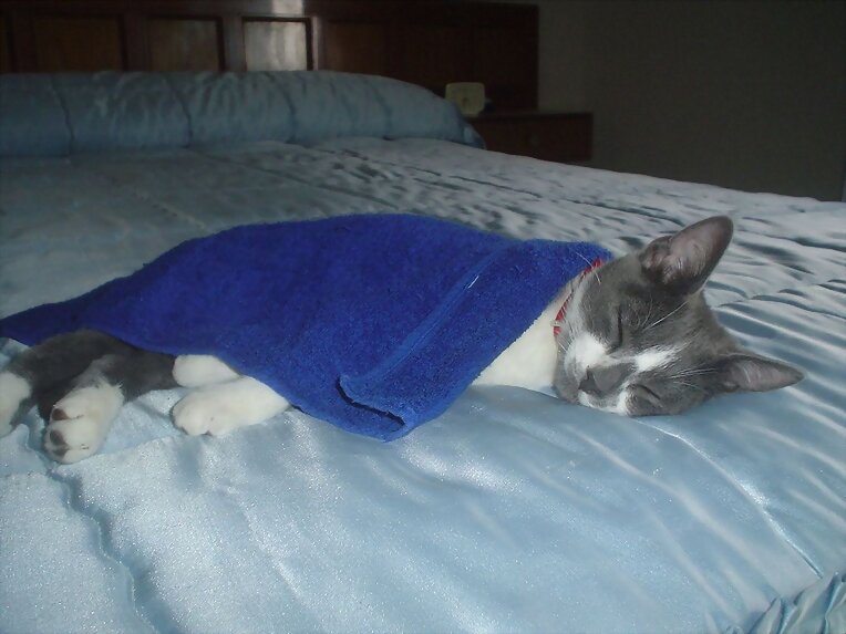 La siesta-2