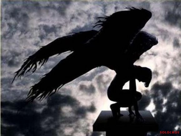 angel-h