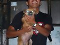 PERRO POSEIDO