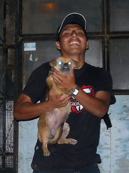 PERRO POSEIDO