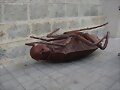 hombre cucaracha