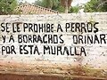 Los perros saben leer