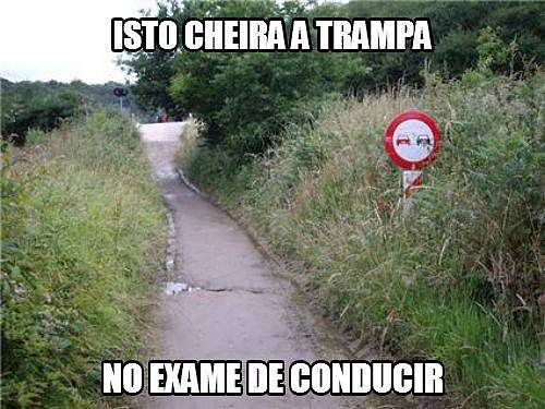 examen