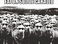 fai un sol