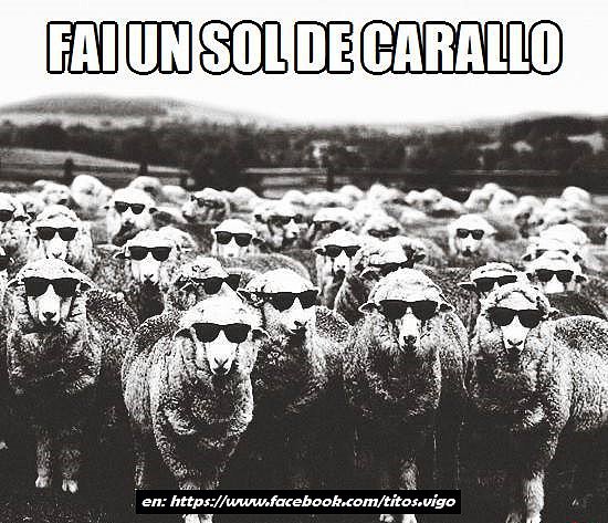 fai un sol