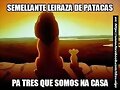 g semellante leira