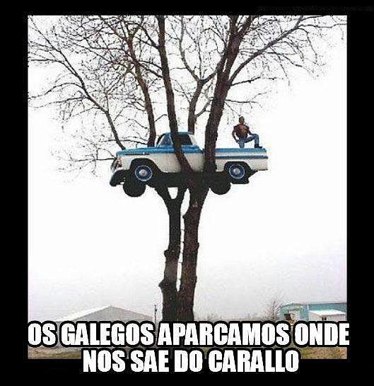 Gallego Aparacamos donde nos
