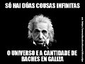 Gallego Baches