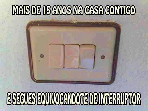 Gallego equic