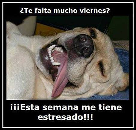 jueves Para