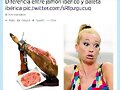 Paleta paleta