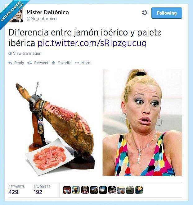 Paleta paleta