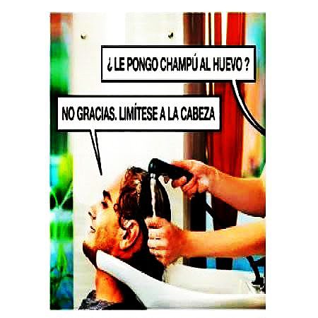 tipos de champu