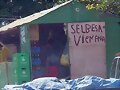 Celvesa