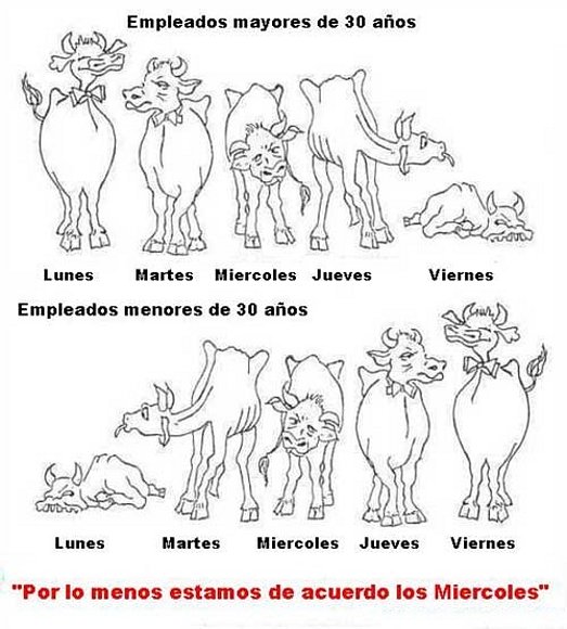 Empleados por edades