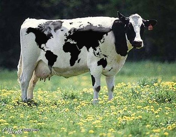 Vaca-mundi