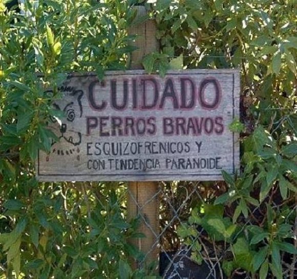 Ojo con los perros