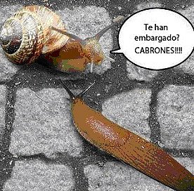 Embargo