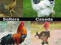 Comparaciones