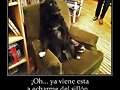 Ojo, ya vienen