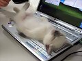 Tengo el teclado bloqueado y no tengo el rat&oacute;n