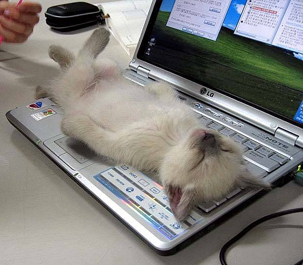 Tengo el teclado bloqueado y no tengo el ratón