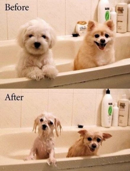 Antes y después