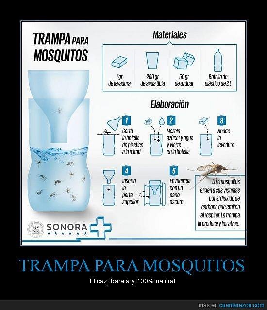 Trampa para los mosquitos