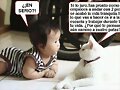 A 4 patas