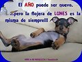Los lunes