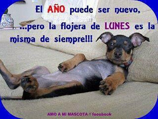 Los lunes