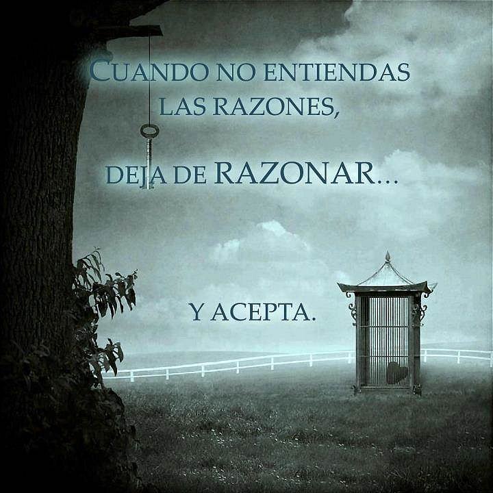 Razones