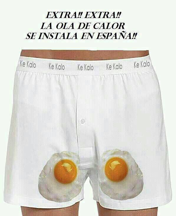 Con 2 egs