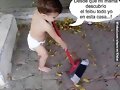 El feibu
