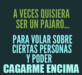 Quisiera ser pajaro