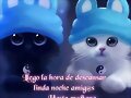 Buenas noches
