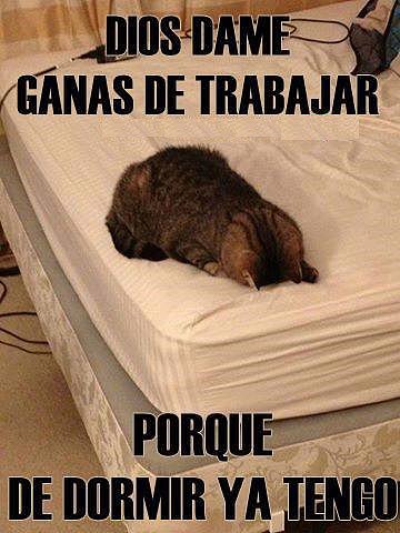 Dame ganas de trabajar