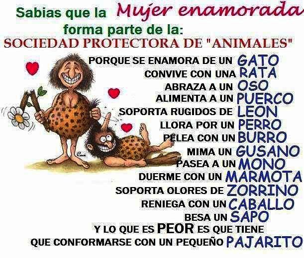 Así nos ven